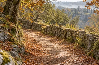 Un chemin d’automne, vide, entre les arbres.